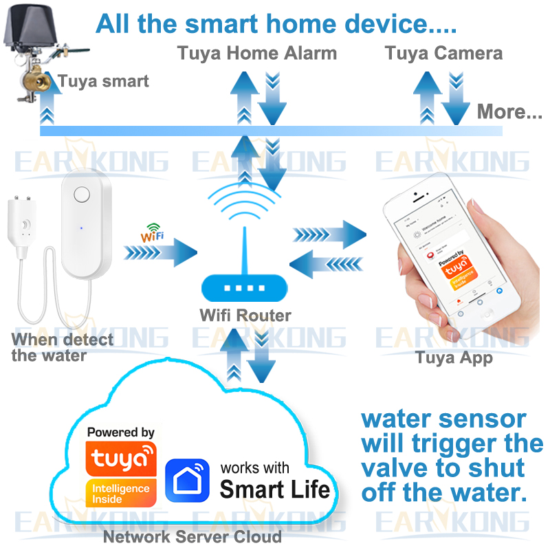 Tuya WiFi Smart Water Leak Sen - Water Alarm Sensor review and price
